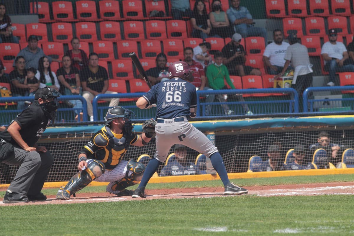 División de honores entre guindas e hidrocálidos