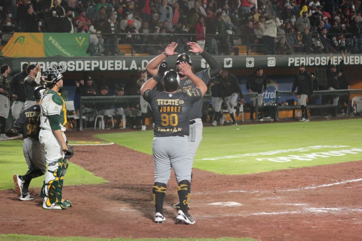 Leones se impone en duelo de batazos y se lleva la serie en seis juegos