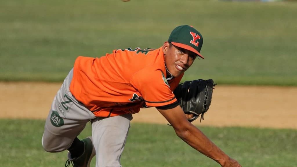 Joven melenudo firmó con Yankees