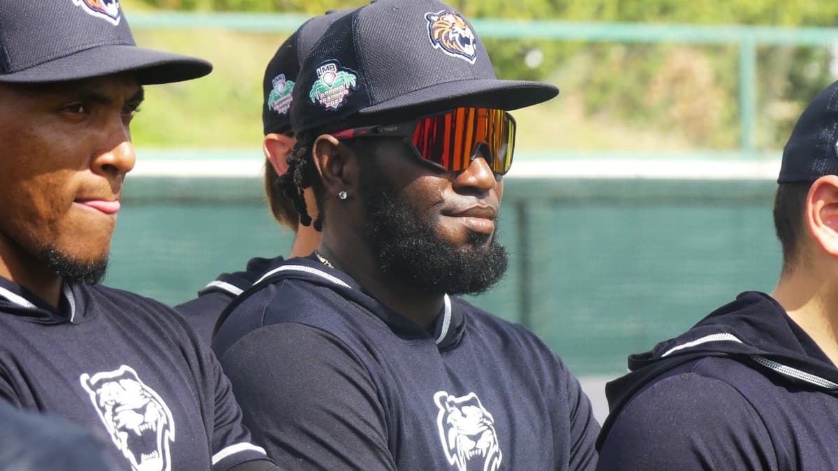 Tigres: Reportan Erro, Barrón y Rosario