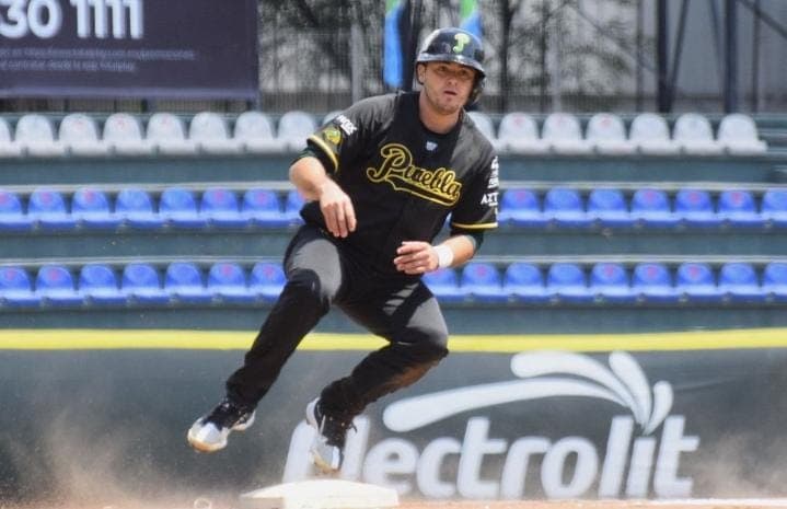 Pericos abollaron la corona del campeón
