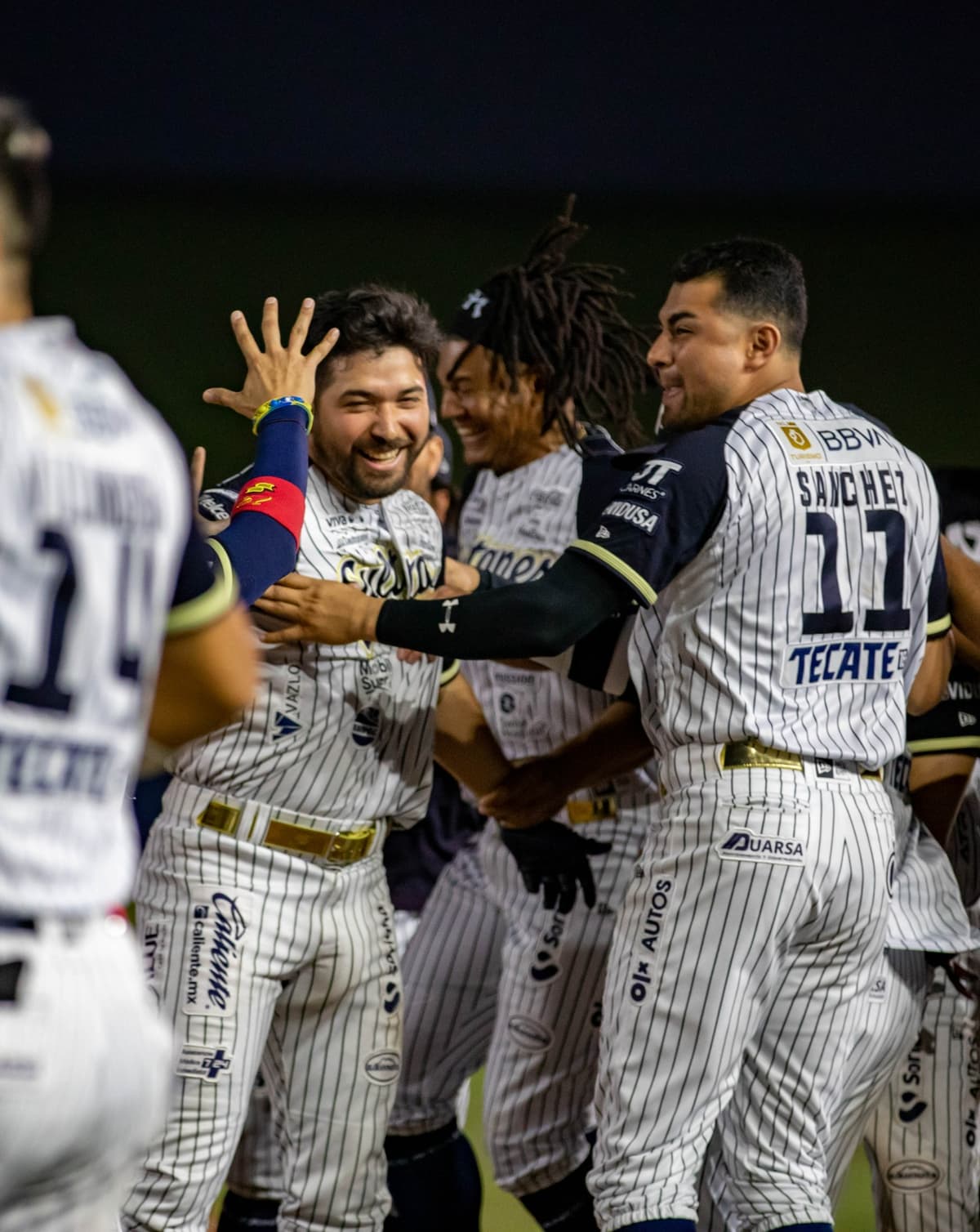 Sultanes deja en el terreno a Acereros