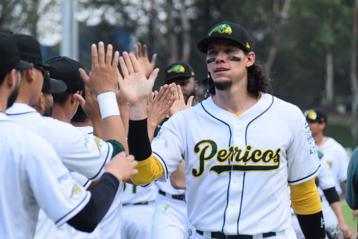 Pericos a mantener el vuelo en casa