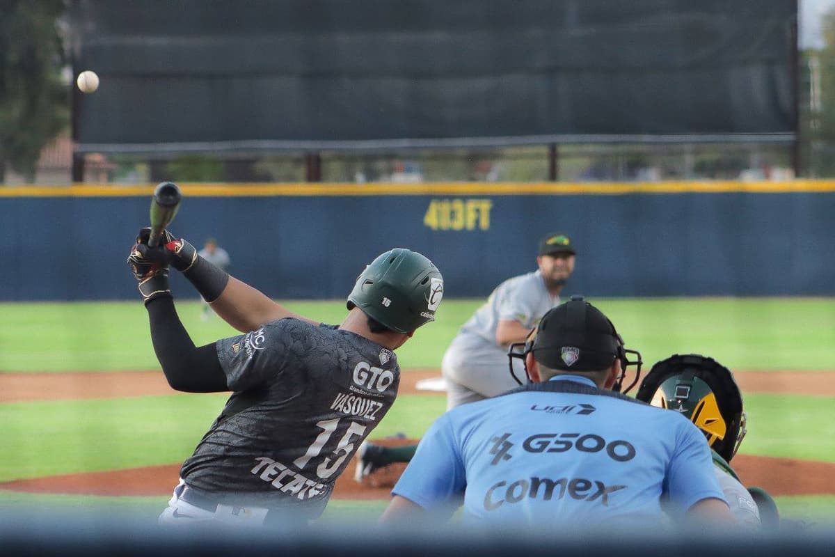 Los Pericos vuelan en León