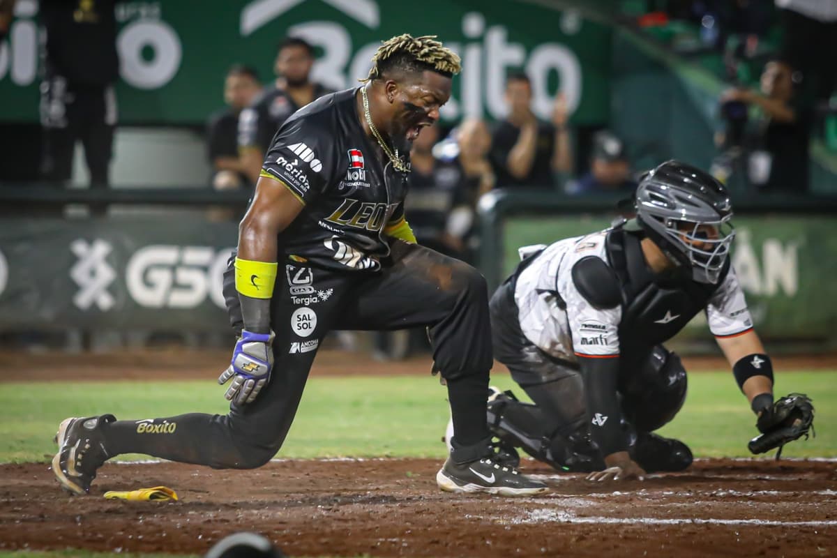 Leones a 80 días de rugir