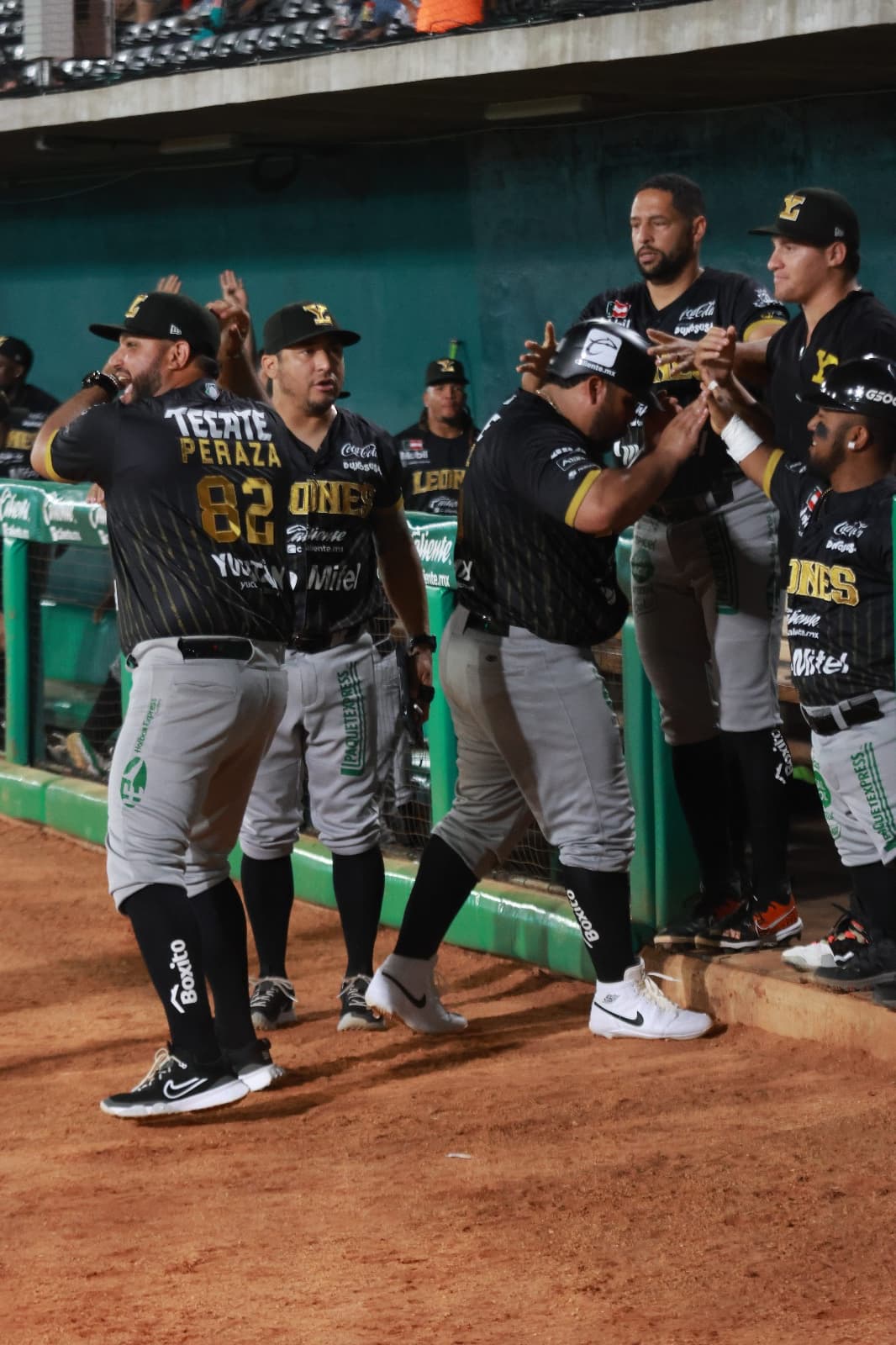 Leones completa barrida en el Centenario
