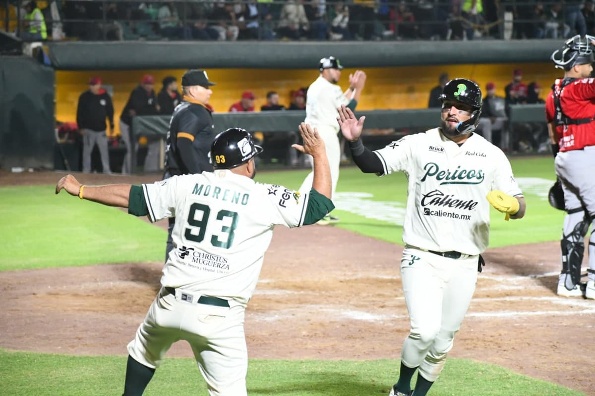 Pericos en modo de cazador
