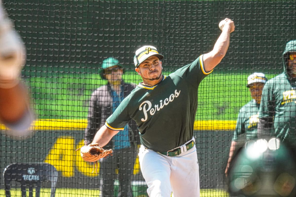 Sin cesar en el campamento emplumado